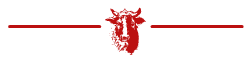 picto-taureau-rouge